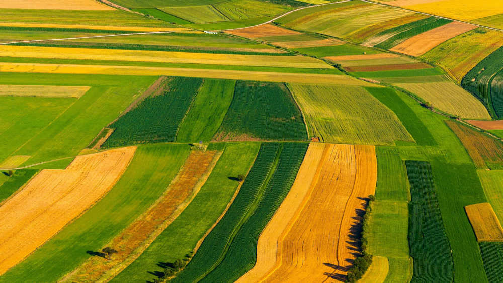 The Legal process of buying land in Kenya
